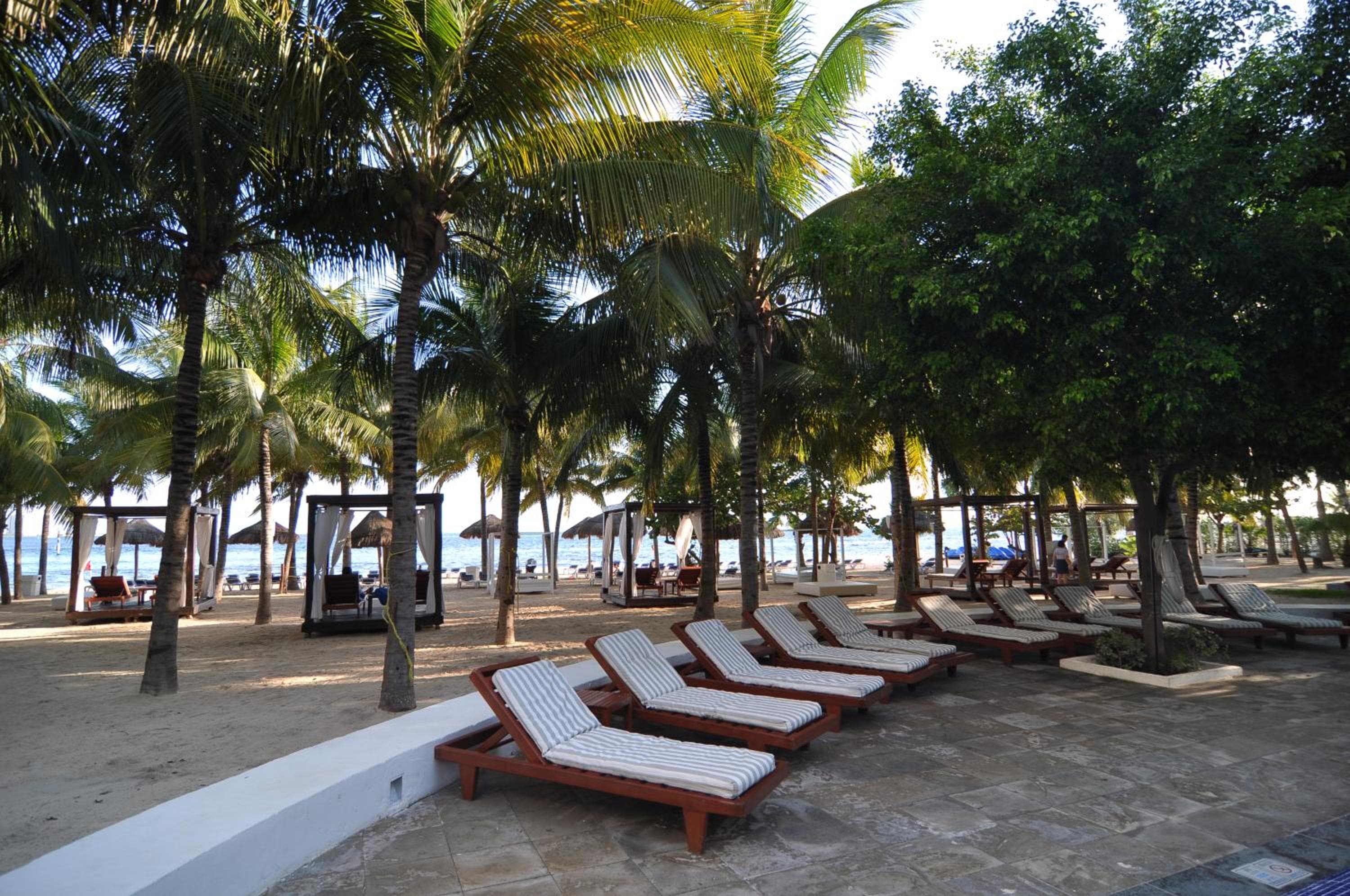 Oasis Palm - All Inclusive — 21