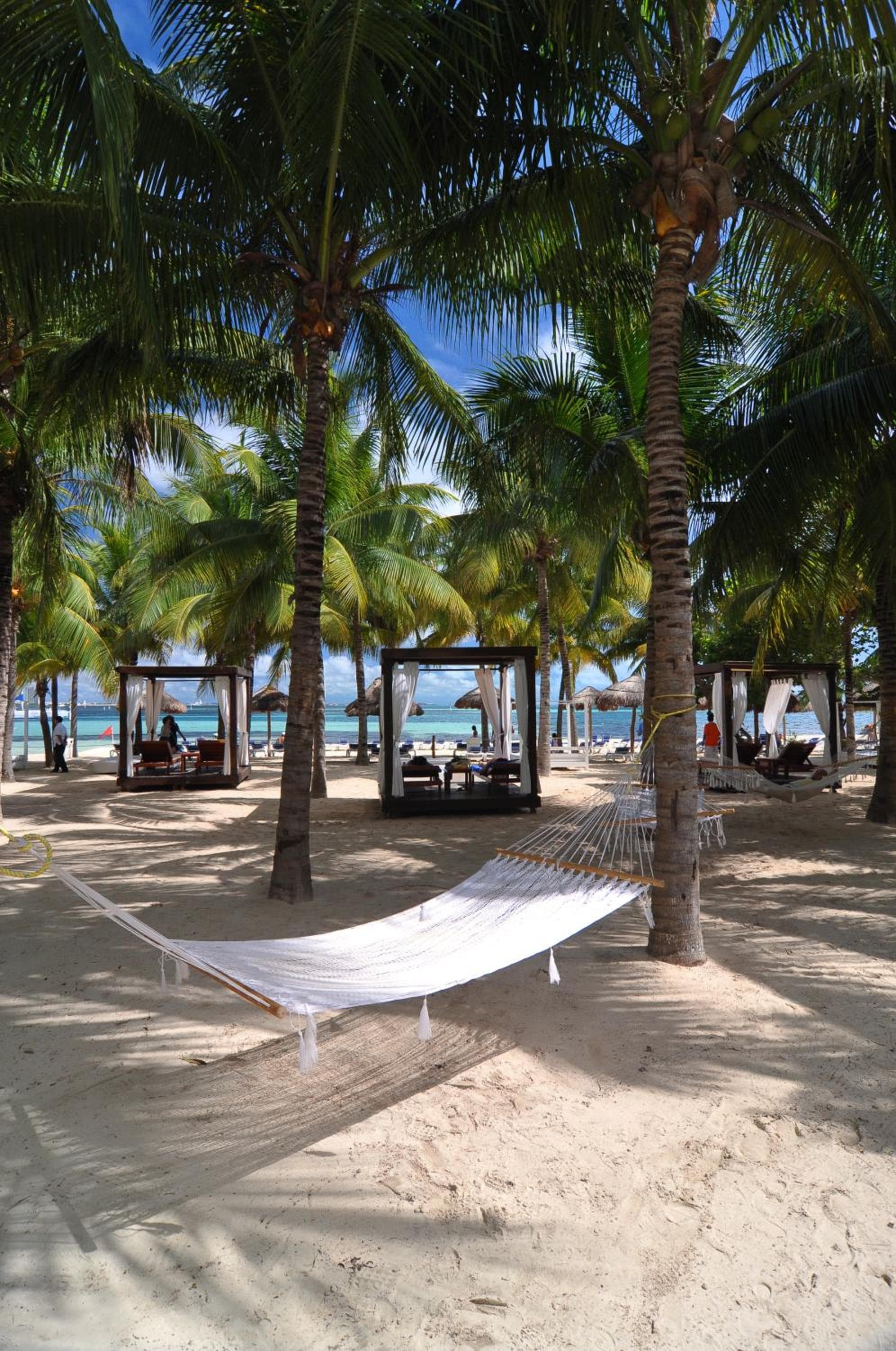 Oasis Palm - All Inclusive — 6