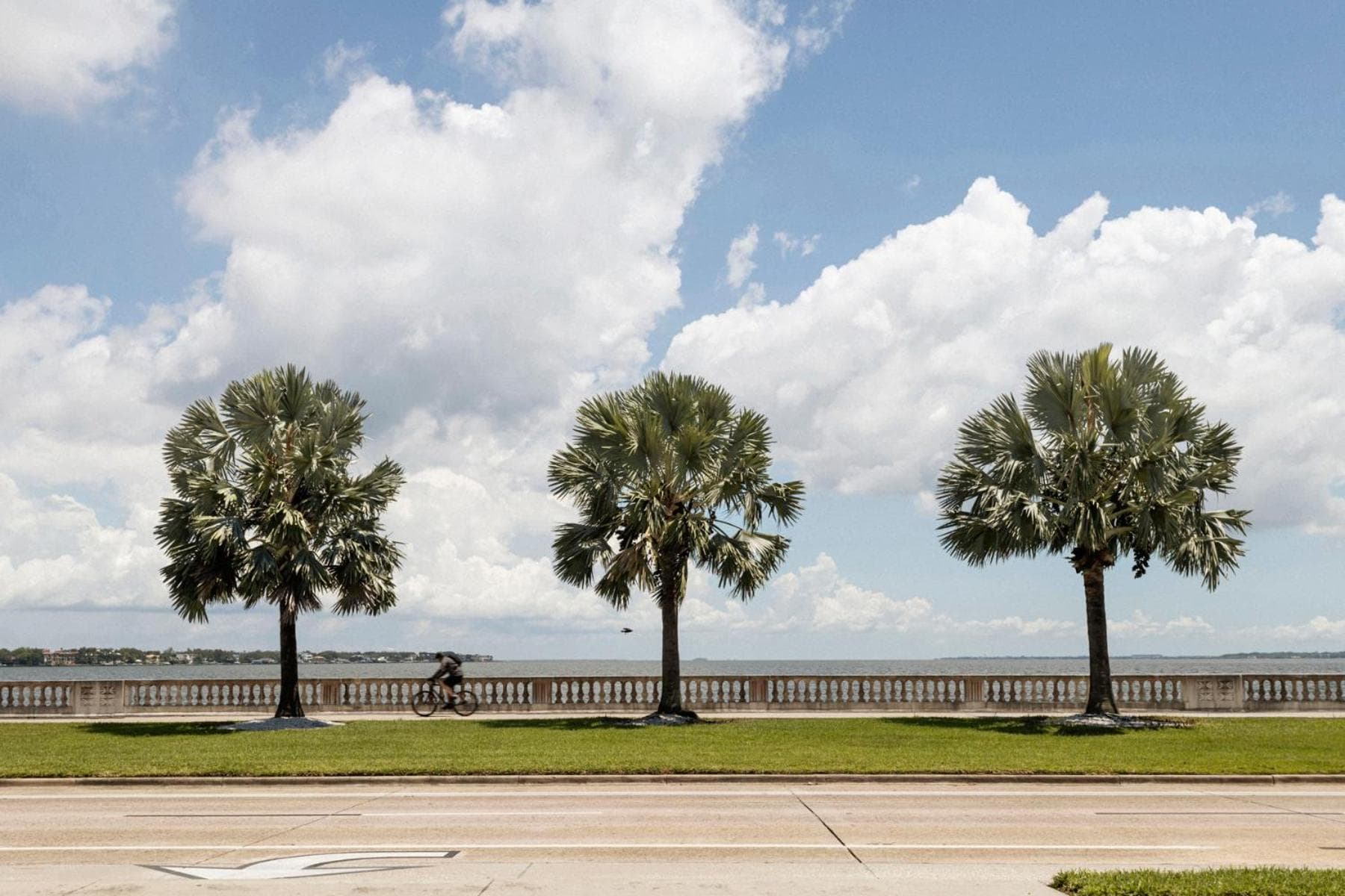 ROOST Tampa — 16