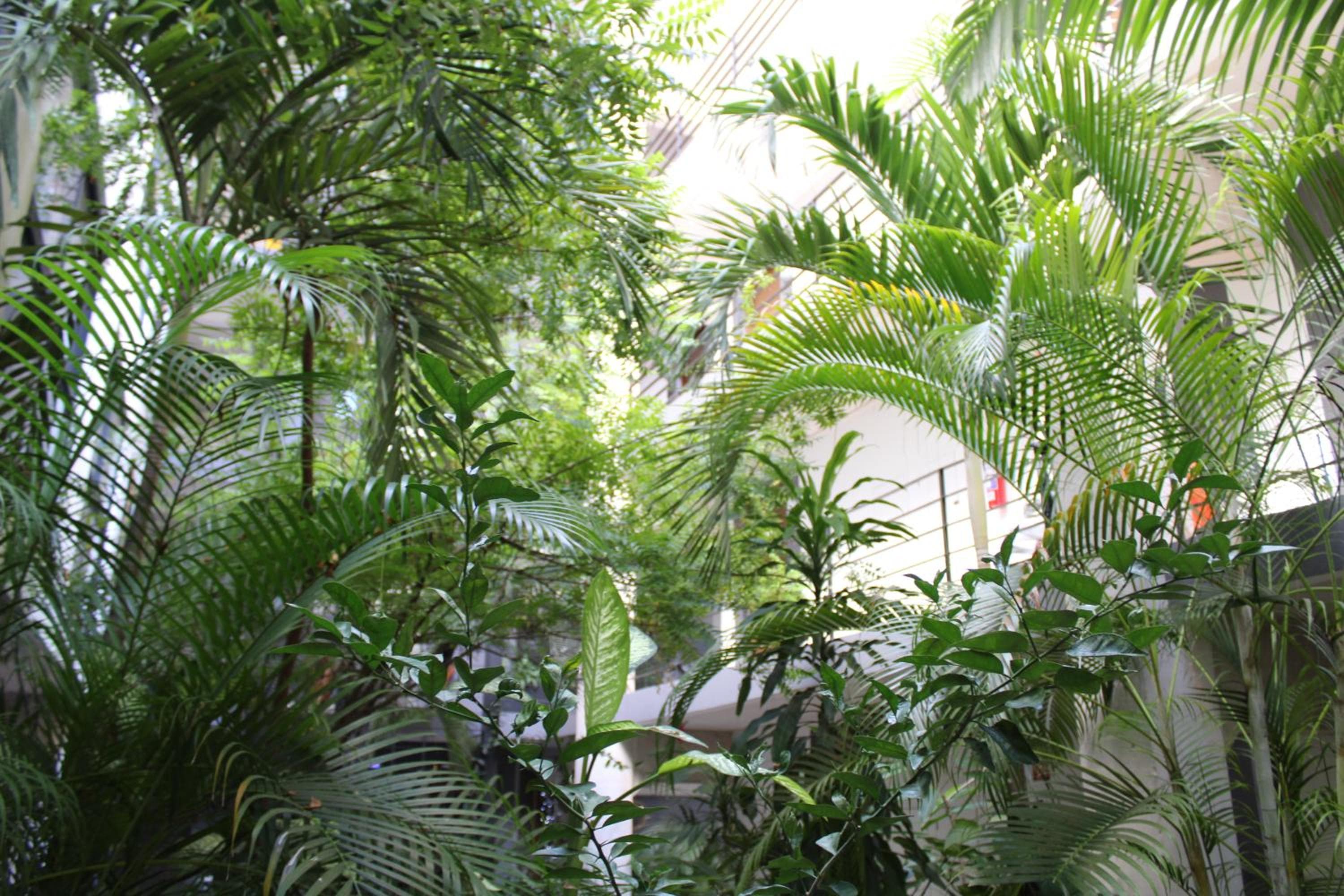 Hotel 52 Playa del Carmen — 23
