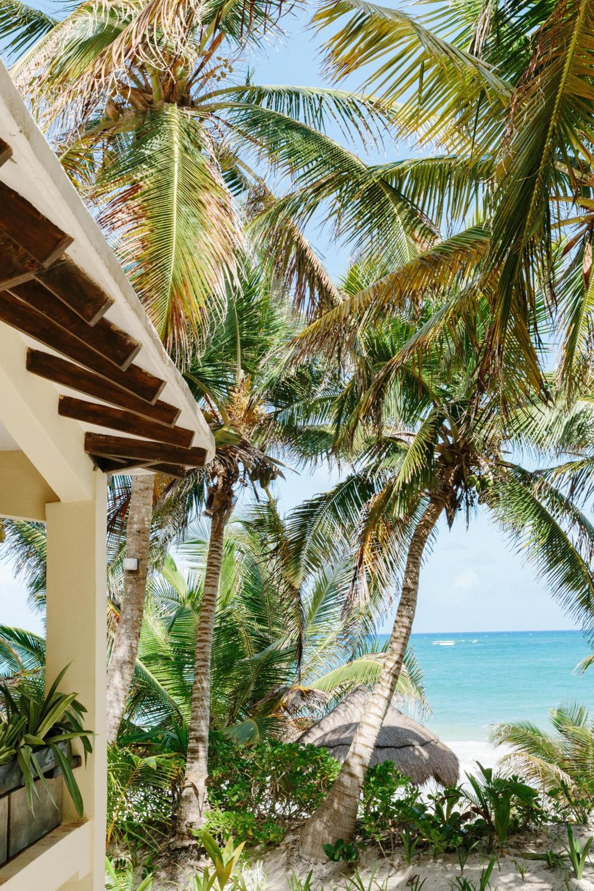Olas Tulum — 3