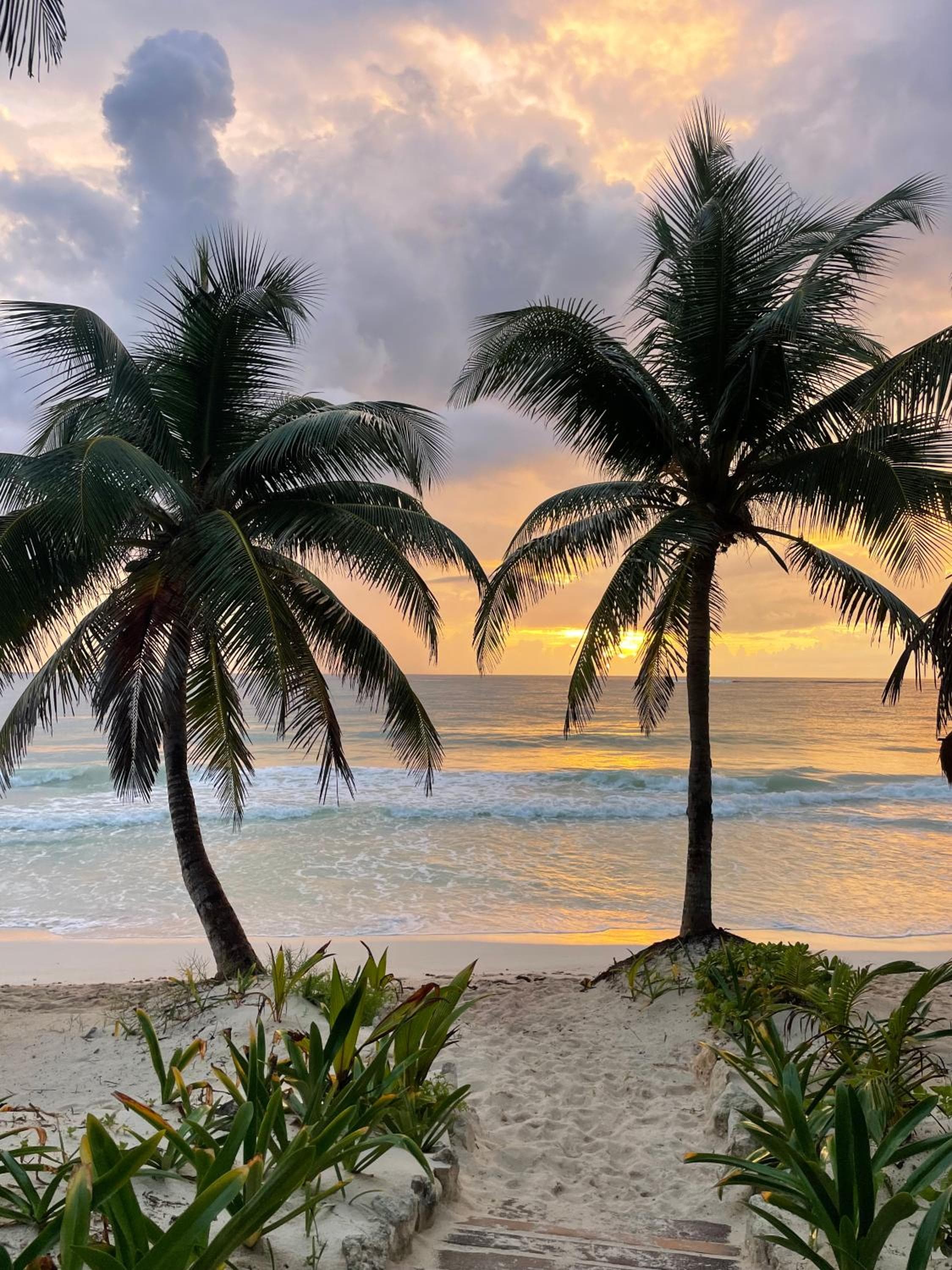 Olas Tulum — 8