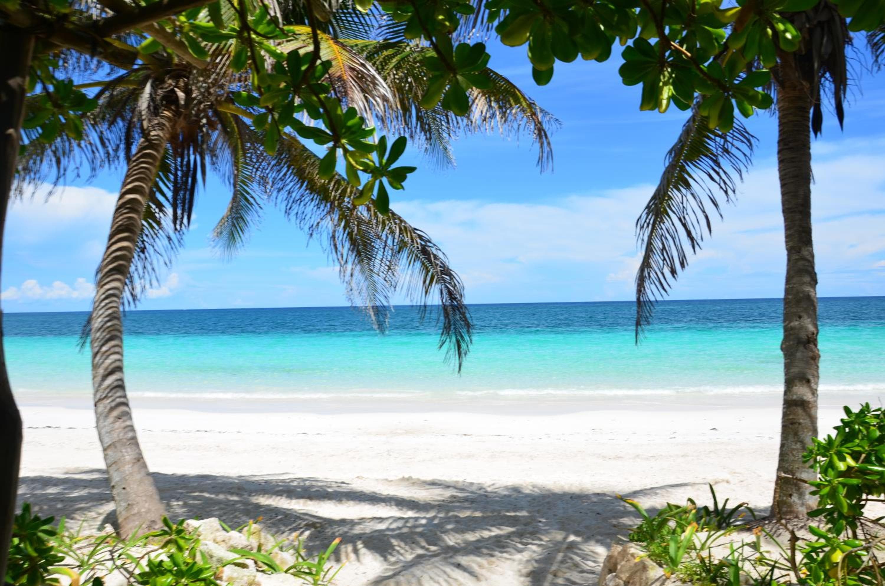 Olas Tulum — 9