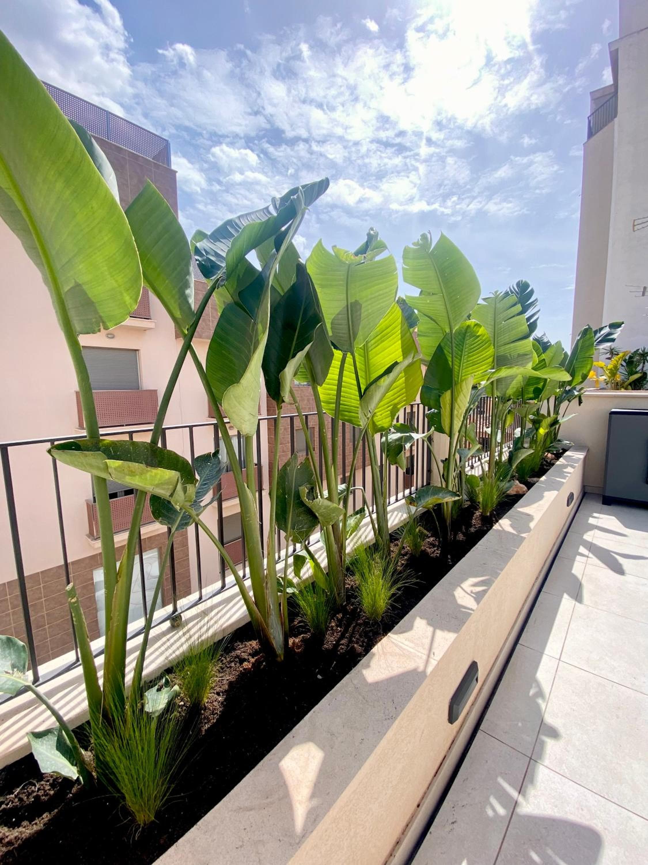 Hotel-Apartamento con gran terraza — 2