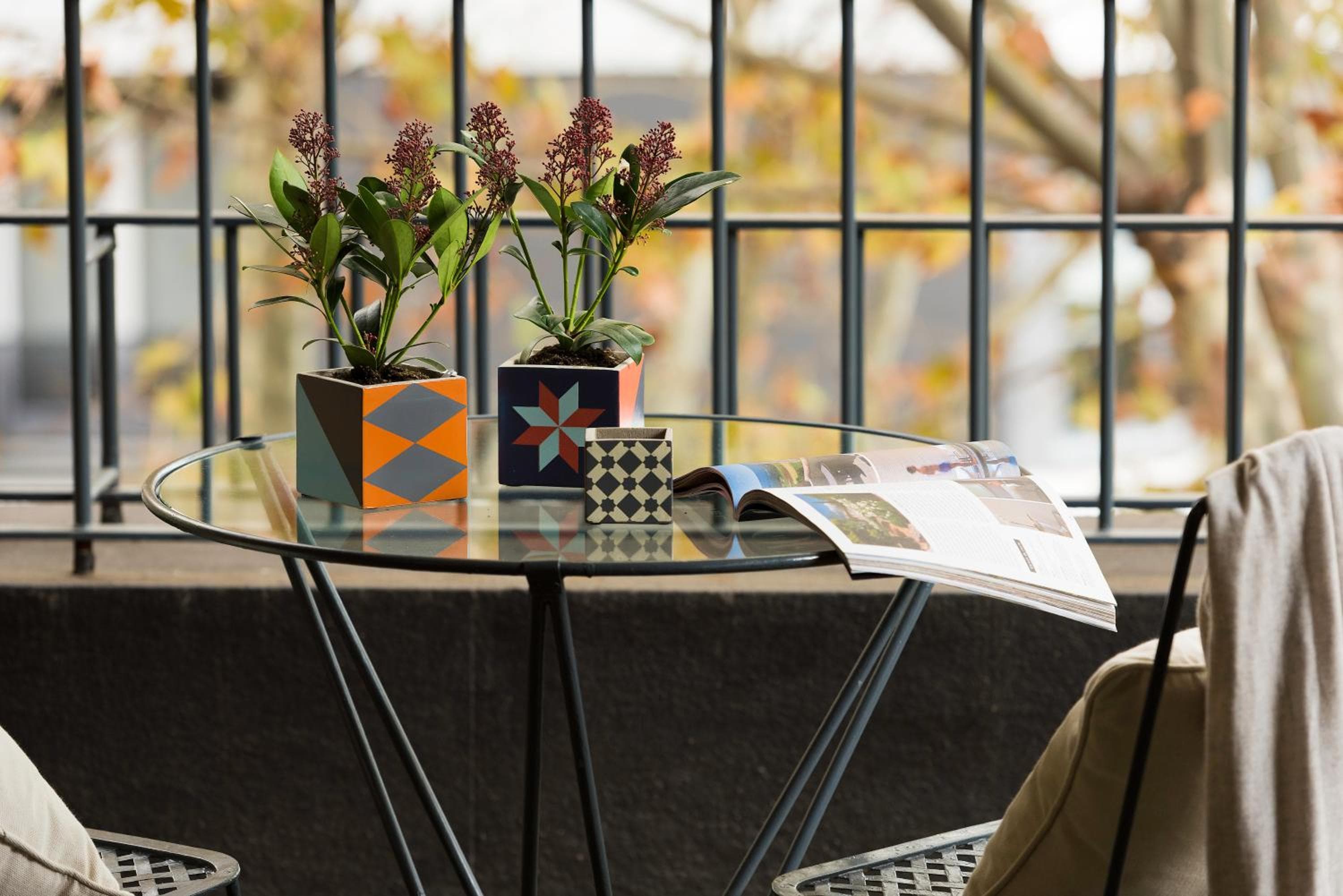 Primero Primera — 21