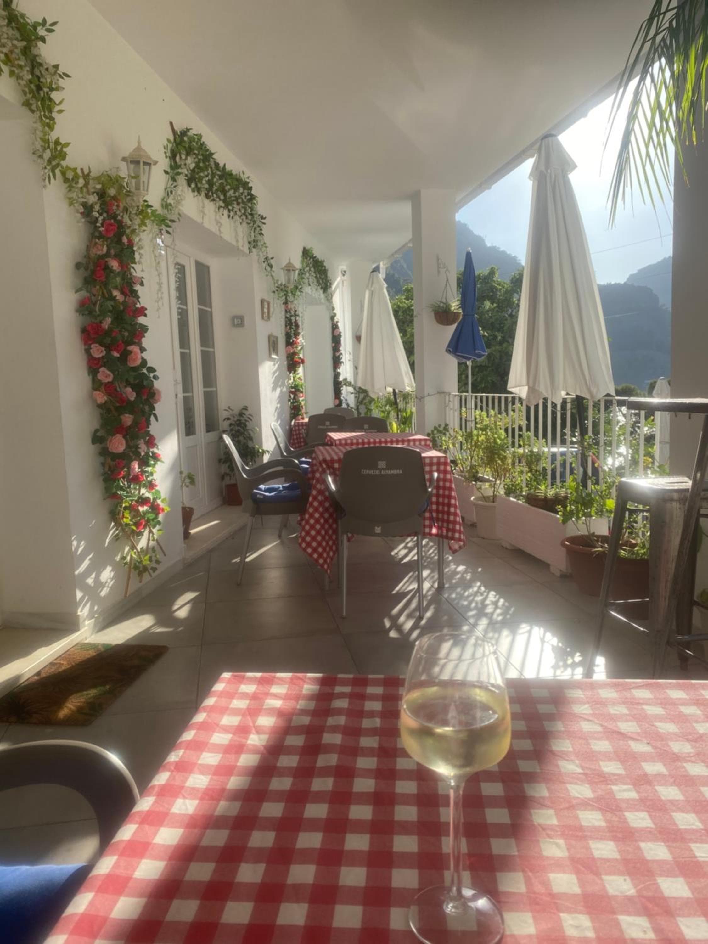 Il nido di Chorro — 24