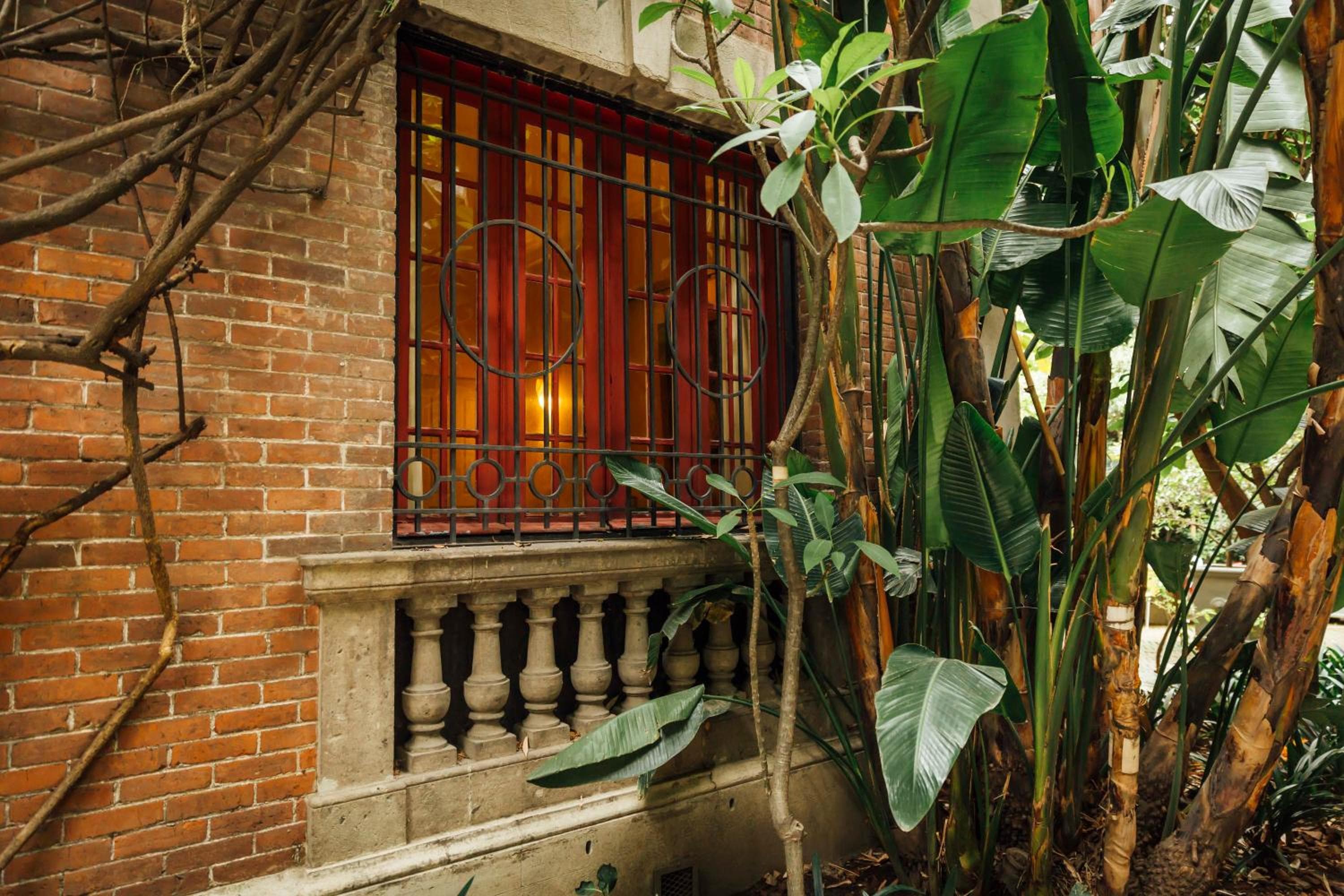 Maison du comte — 5