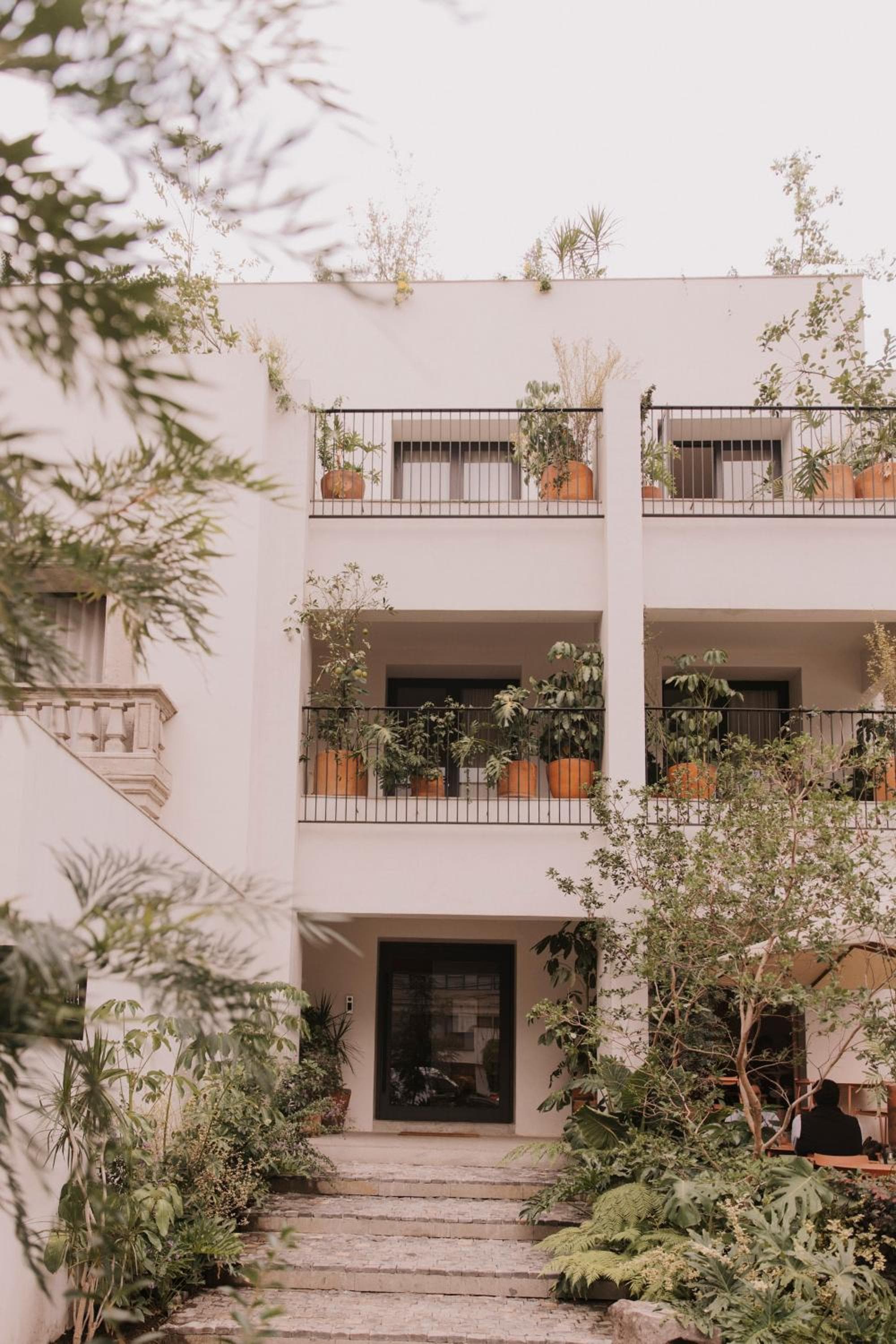 Casa Ofelia — 18