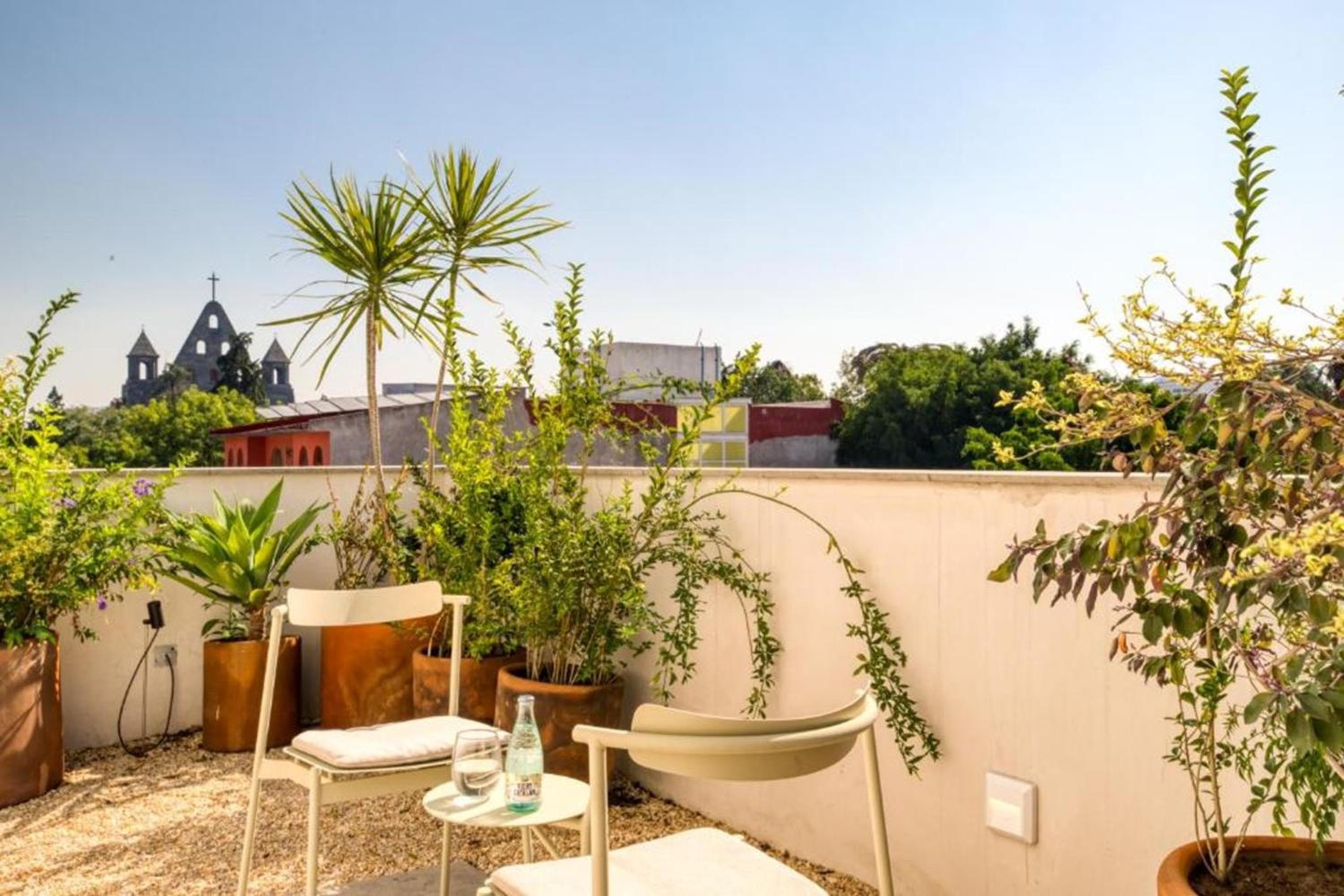 Casa Ofelia — 4