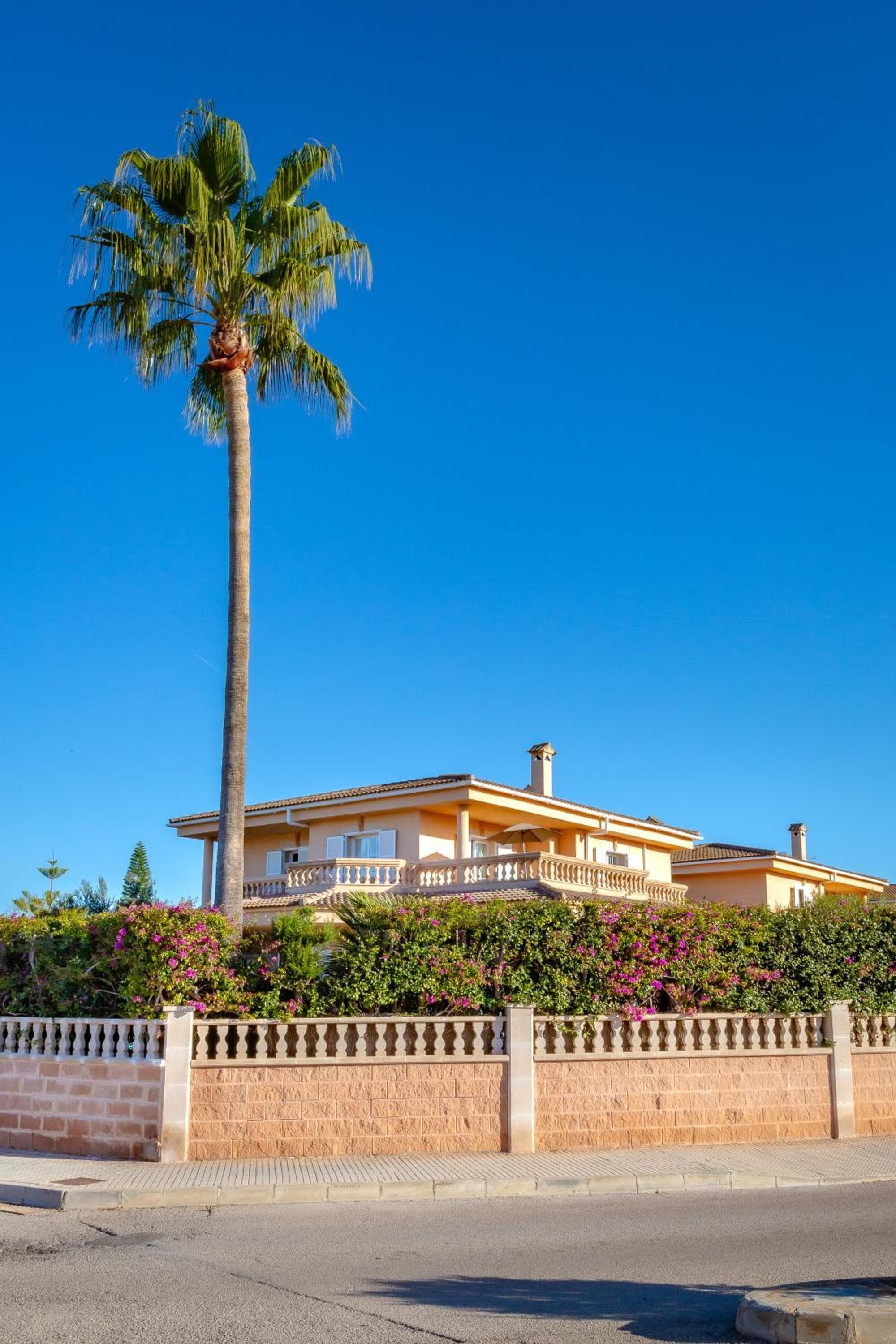 Villa Palmera — 7