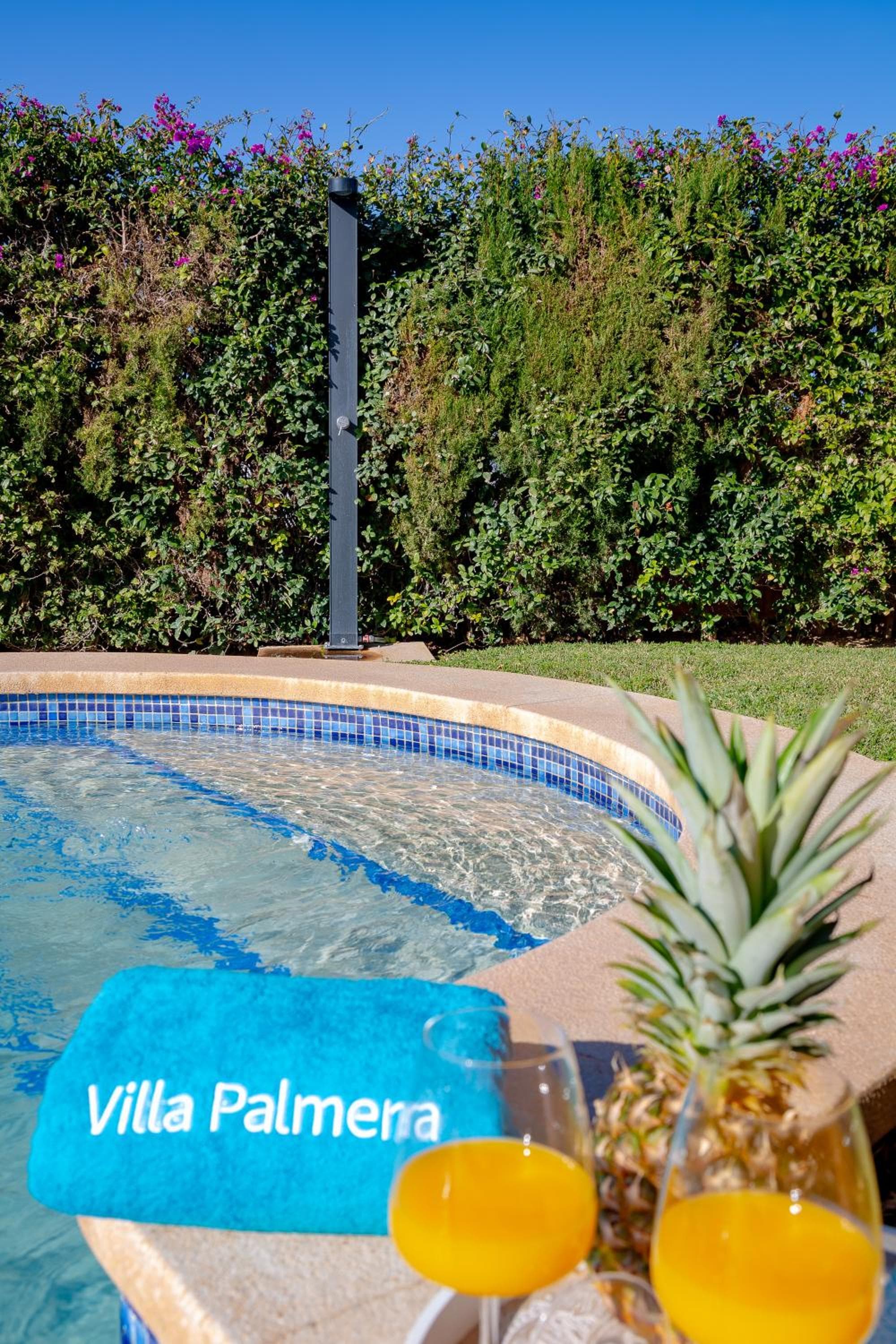 Villa Palmera — 6