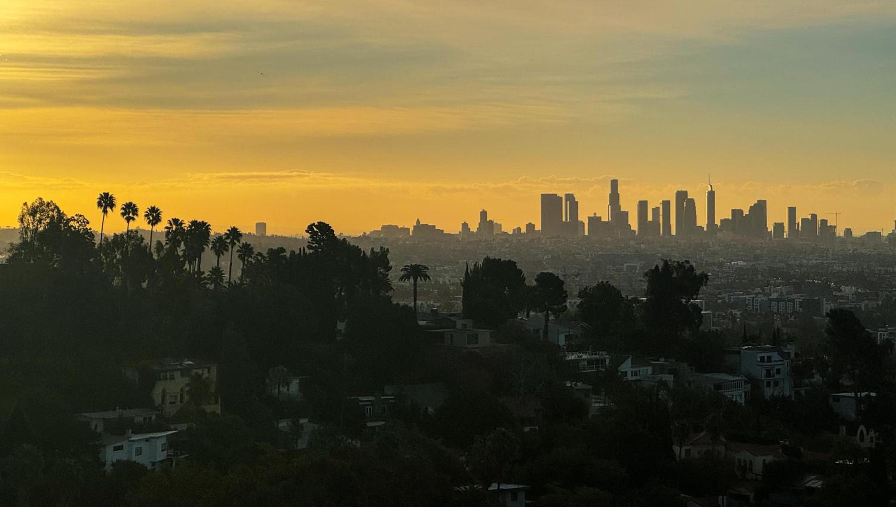 W Hollywood — 29