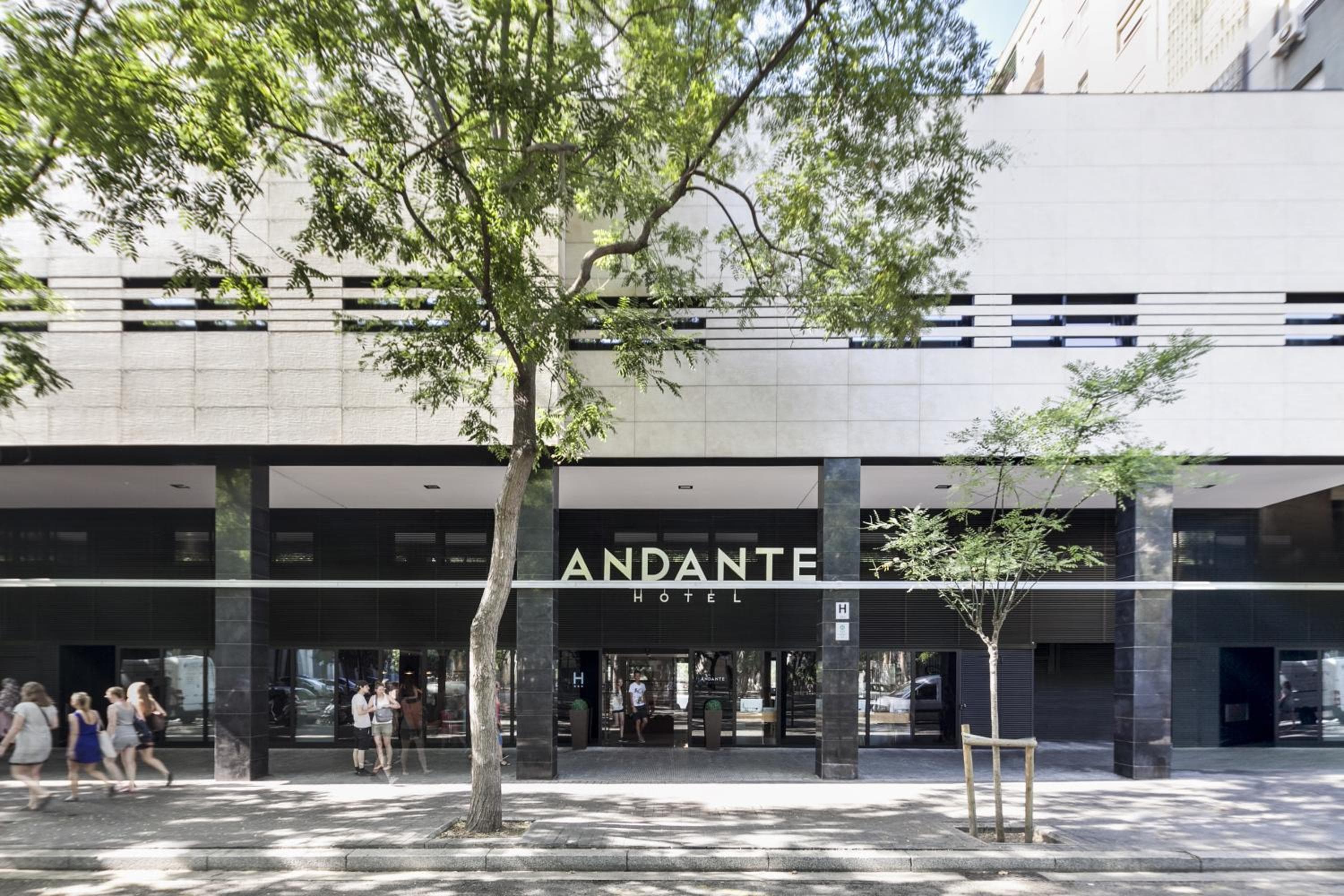 Andante Drassanes — 29