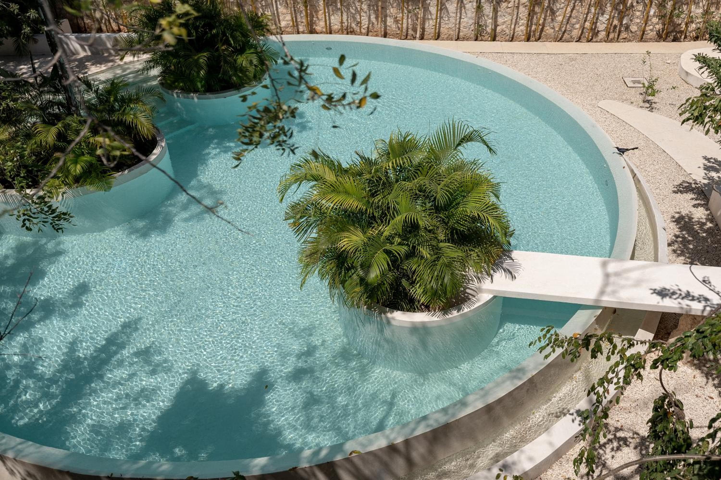Seremonia Studios by Vida de Playa Rentals — 4
