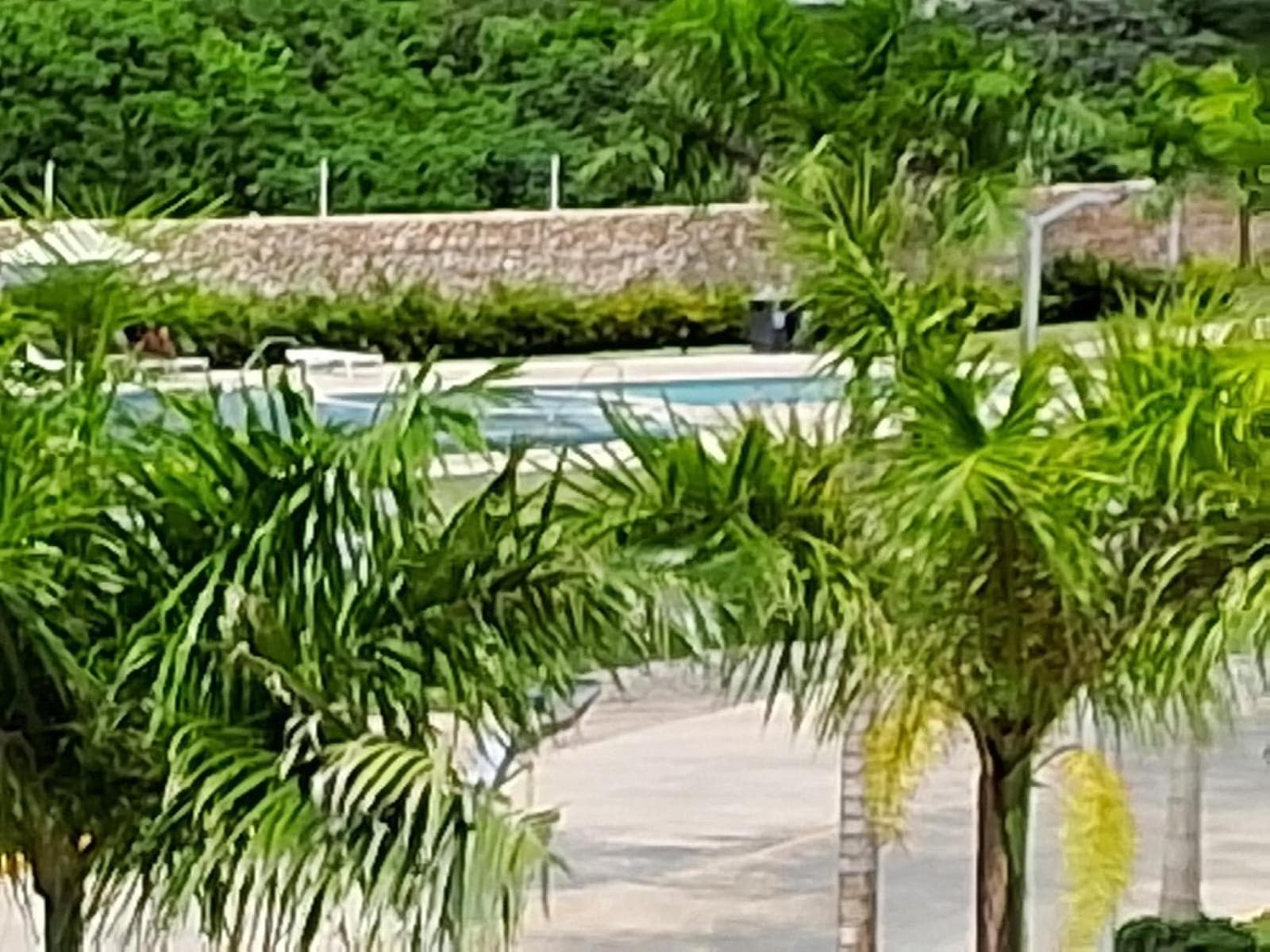 Pool View Punta Cana — 23