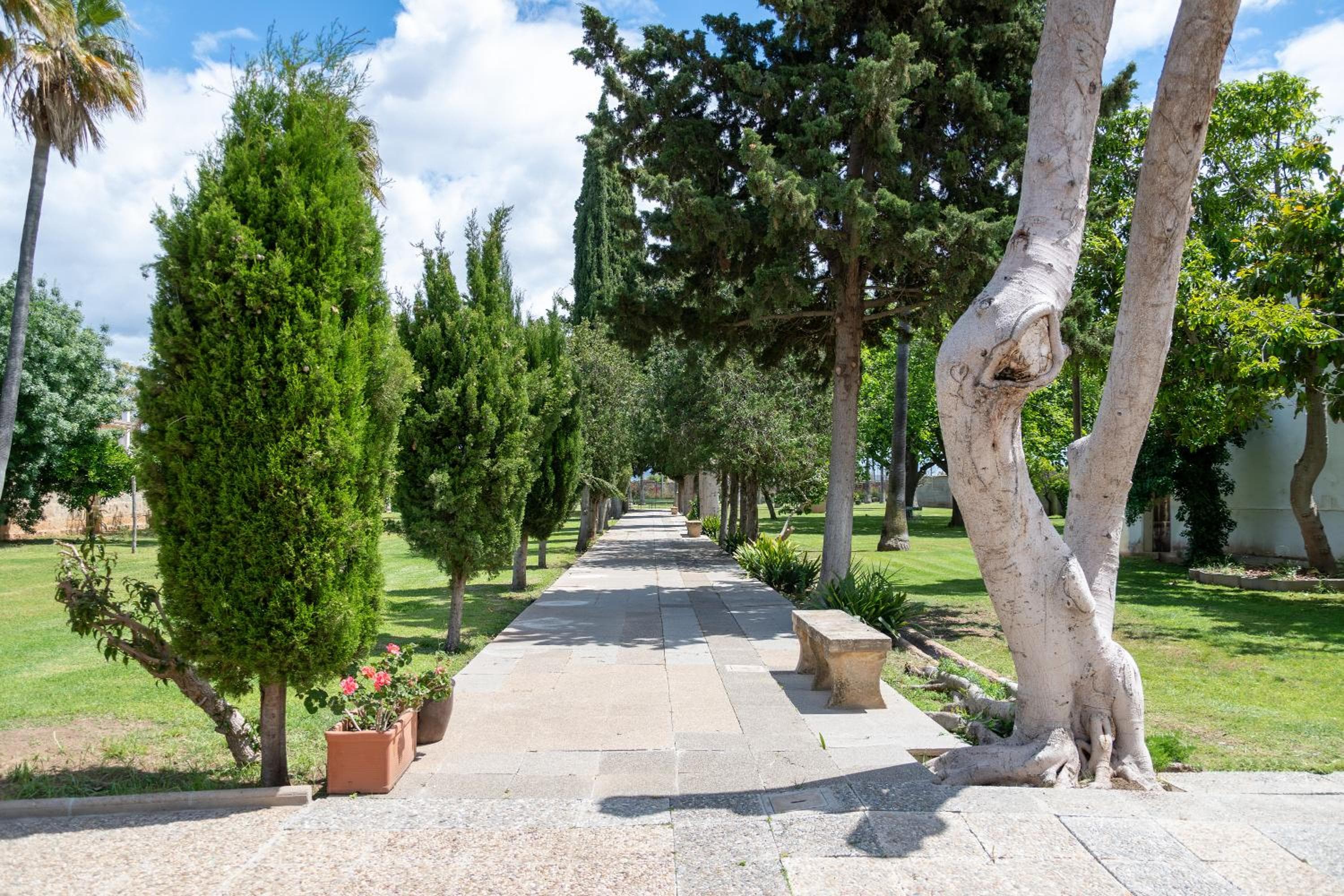 Moli dels Reis — 29