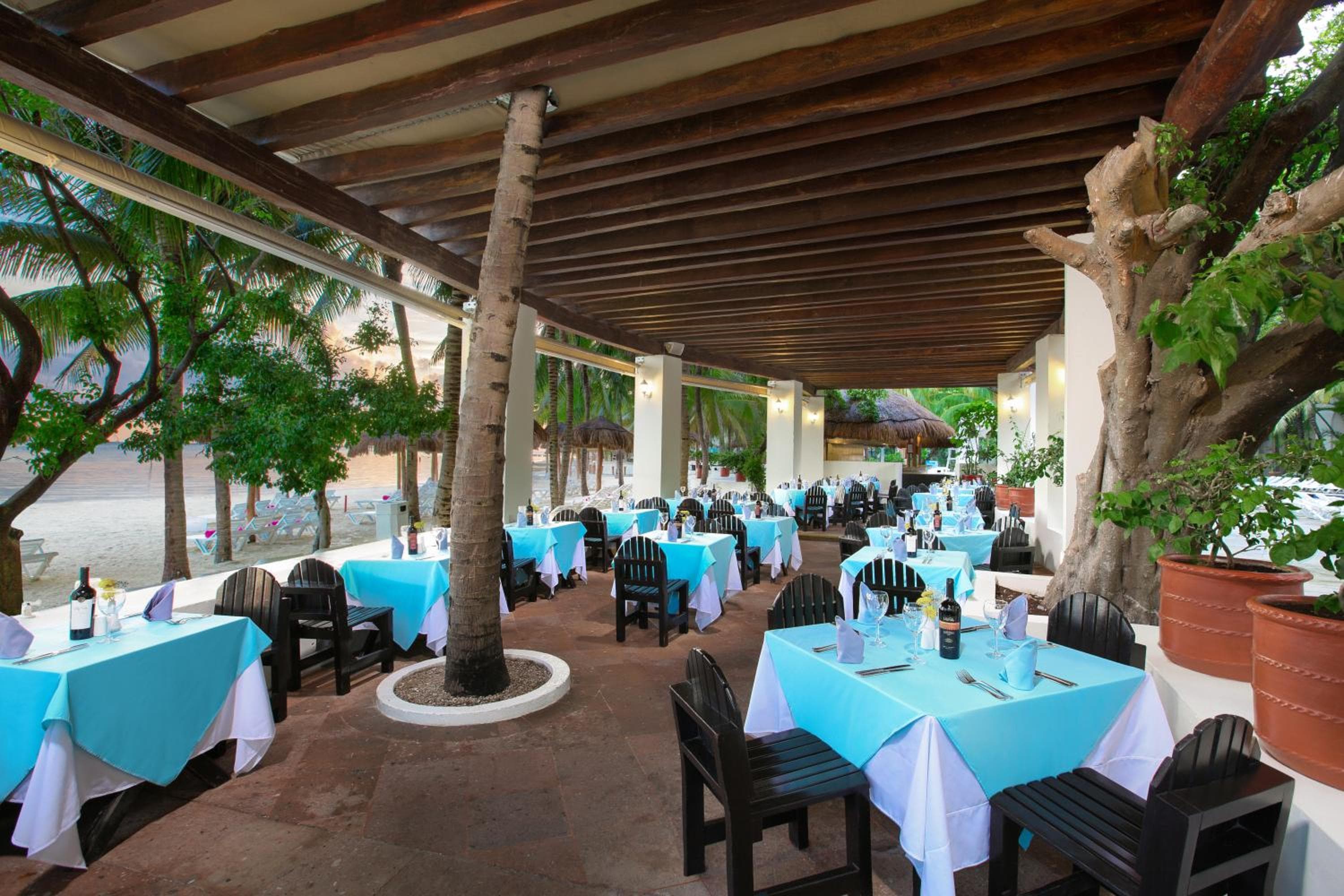 Oasis Palm - All Inclusive — 22