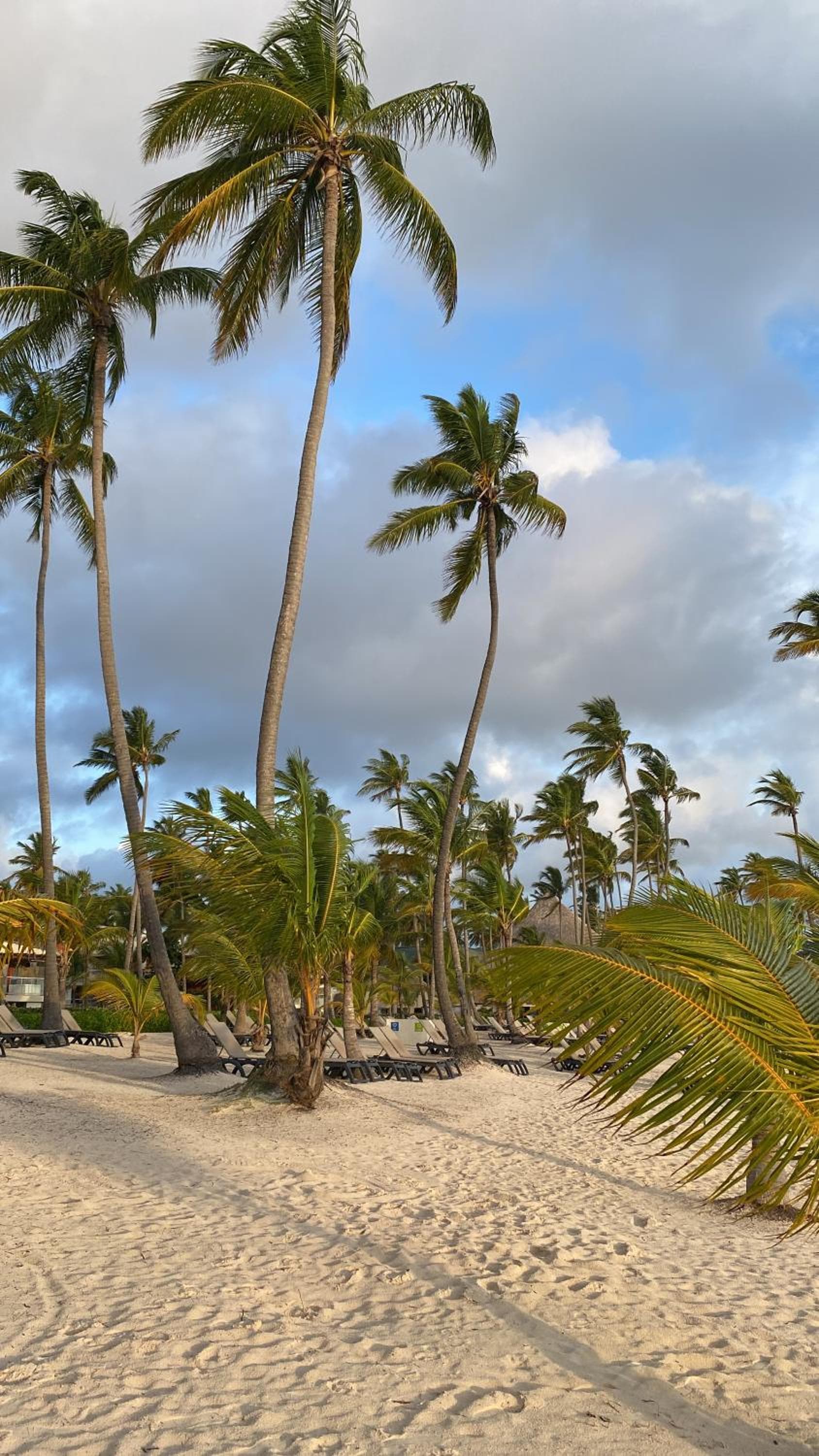 Beautiful Place in los Corales bavaro — 24