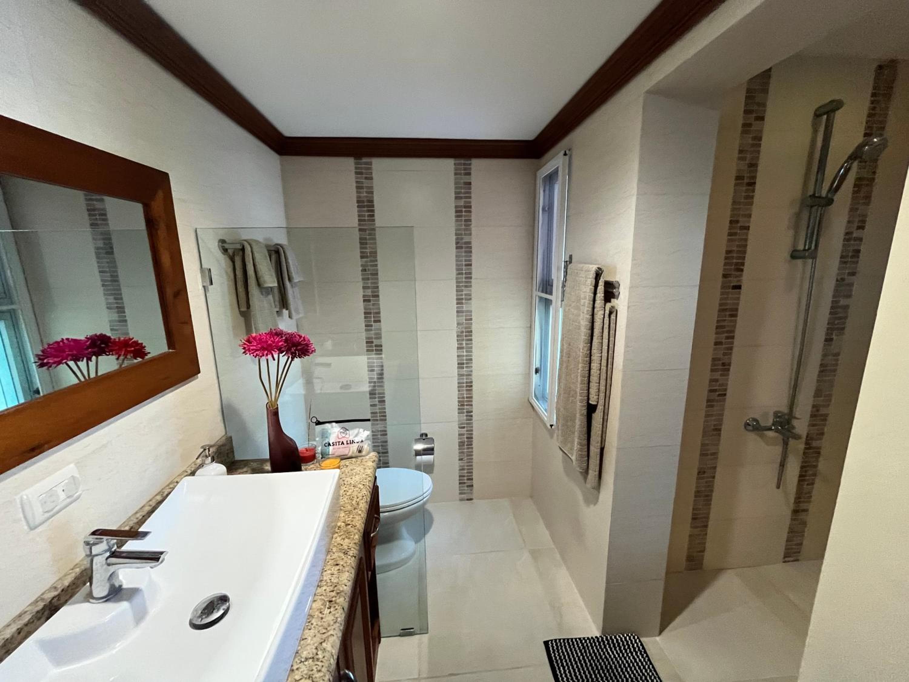 Luxury Beach Penthouse with Pool, BBQ, AC, Wi-Fi, 5-Min Walk to El Cortecito & Bavaro Beaches, Punta Cana — 10