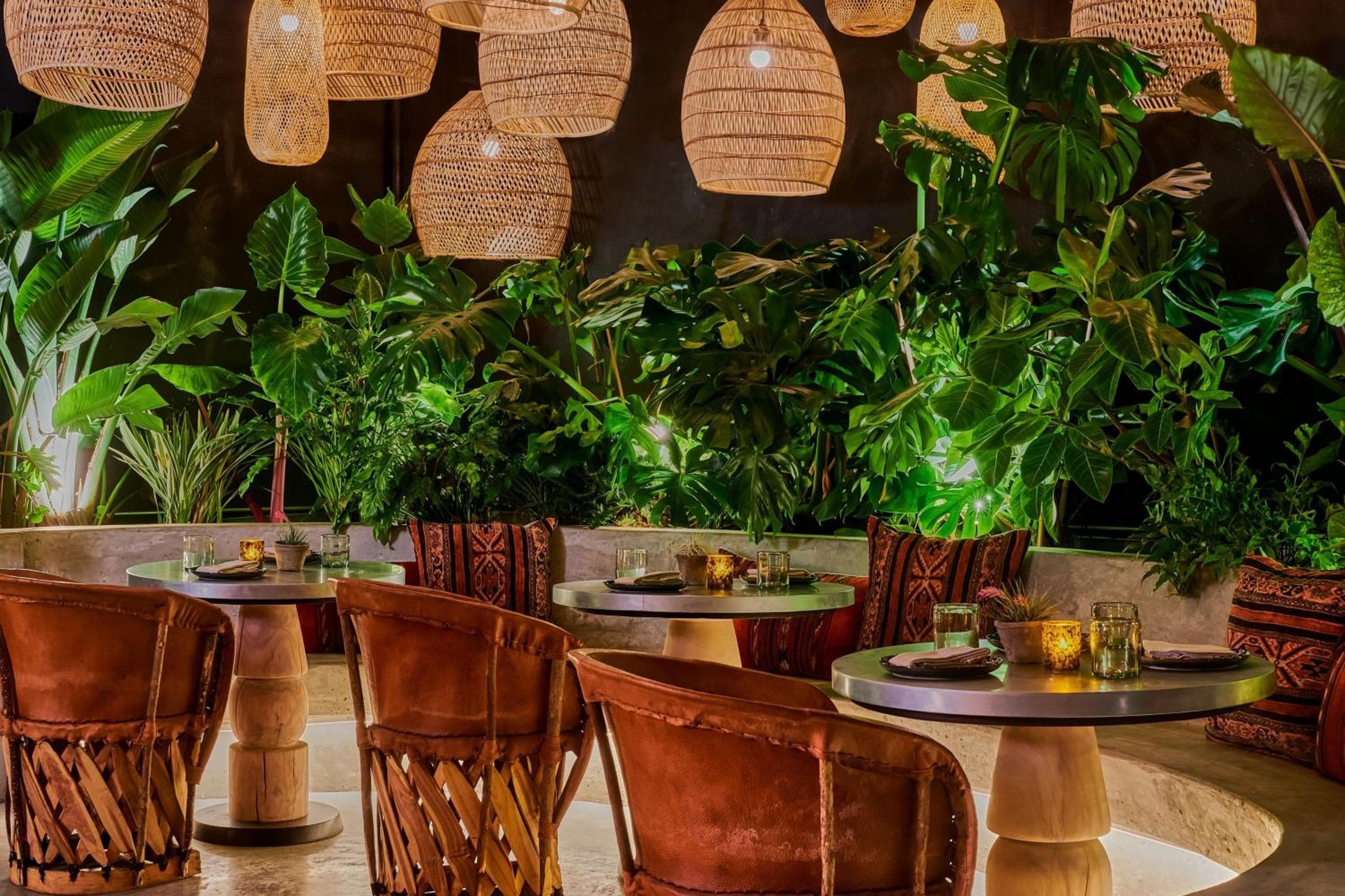 Tommie Hollywood, parte de Jdv by Hyatt — 26