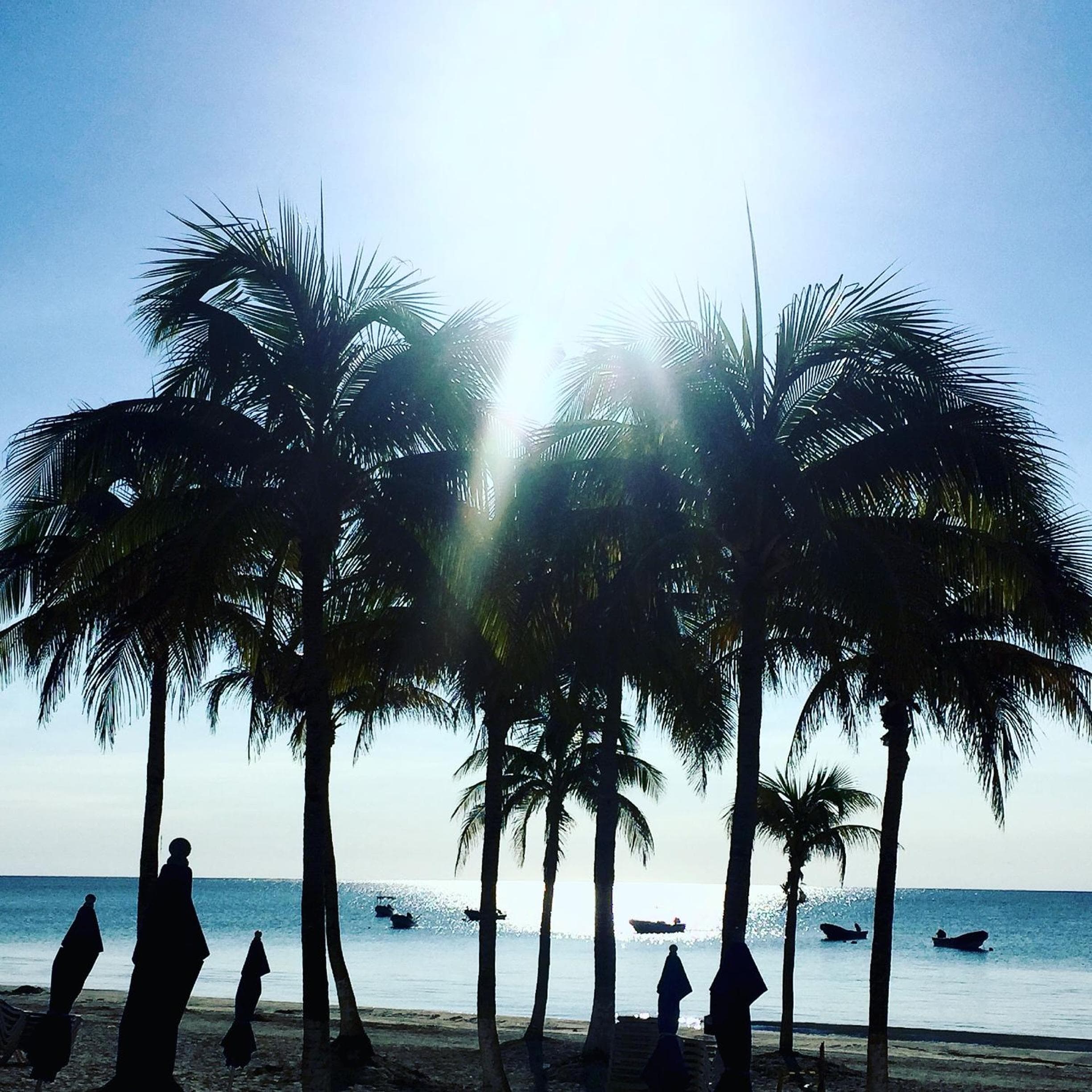 Il Paradise Hotel Tulum — 9