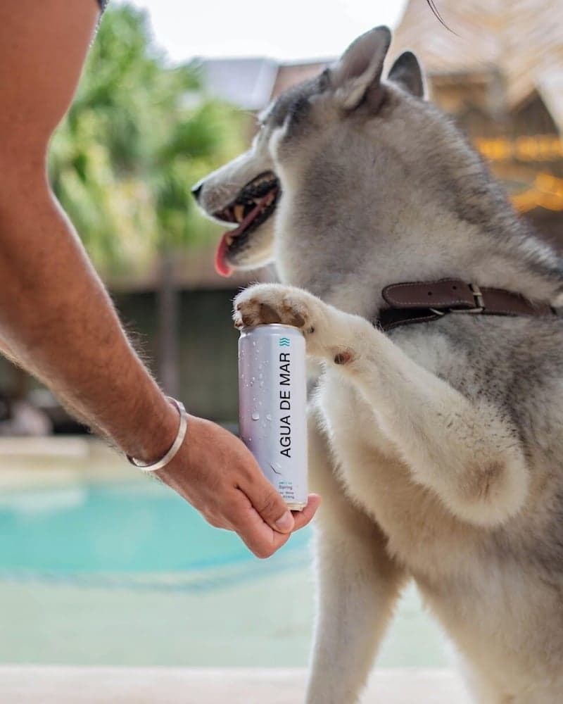 Cervecería Tulum Boutique Hotel & Beer Spa — 12