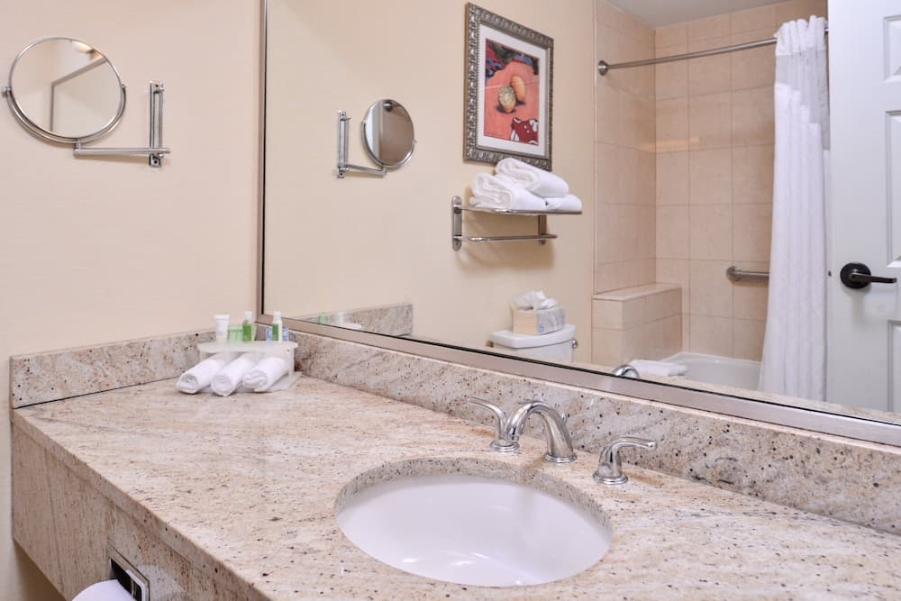 Holiday Inn Express Tampa N I-75 - Área universitaria, un hotel IHG — 8