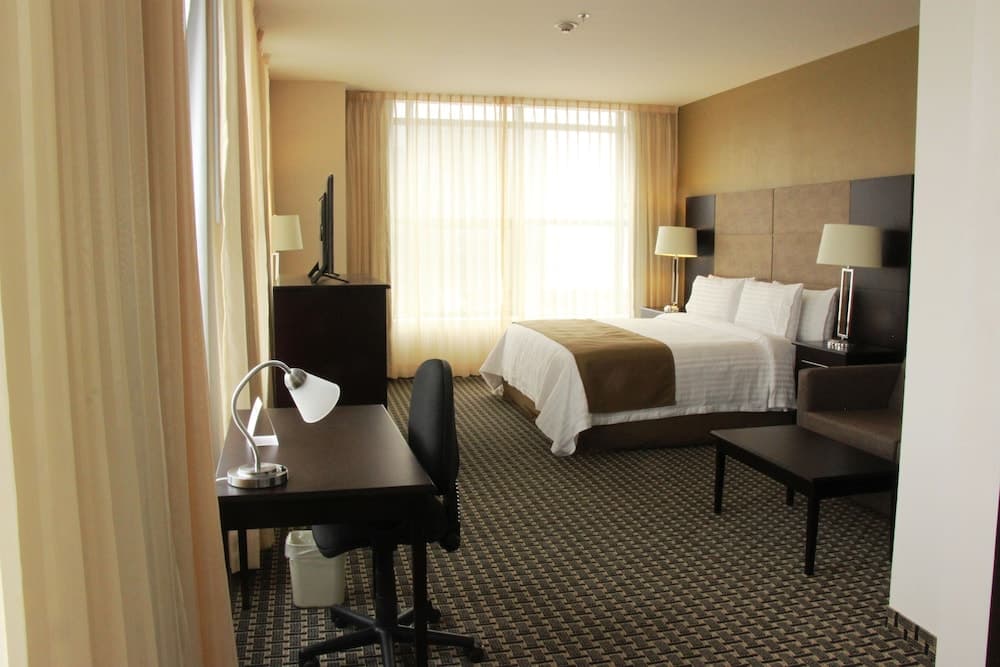Holiday Inn México Santa Fe, un Hotel IHG — 10