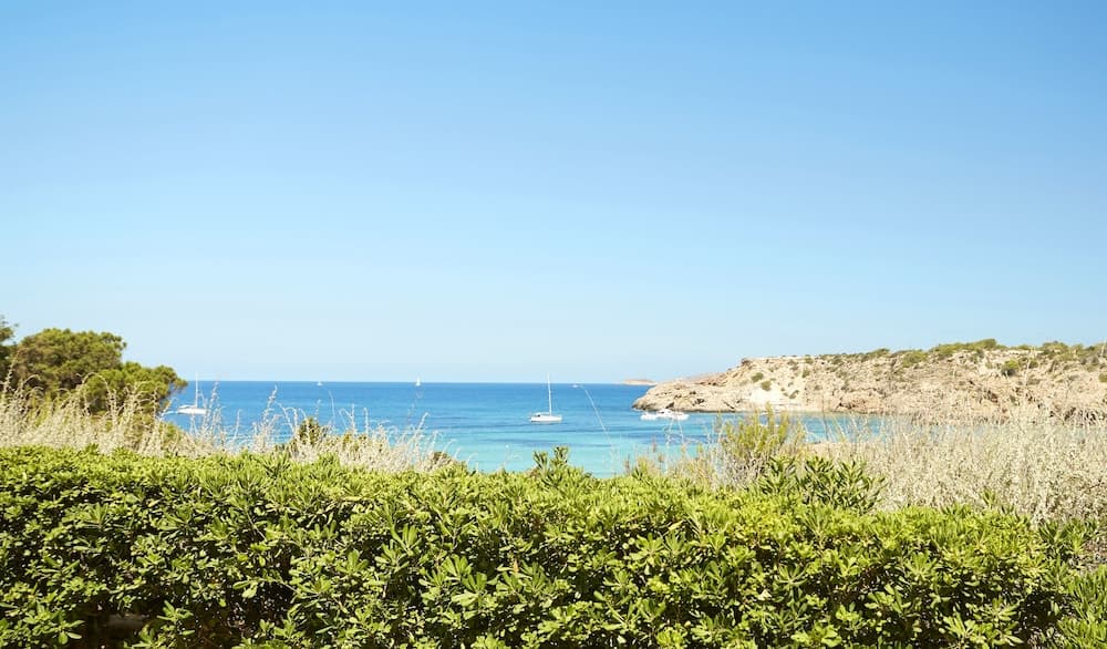 Insotel Club Tarida Playa — 13
