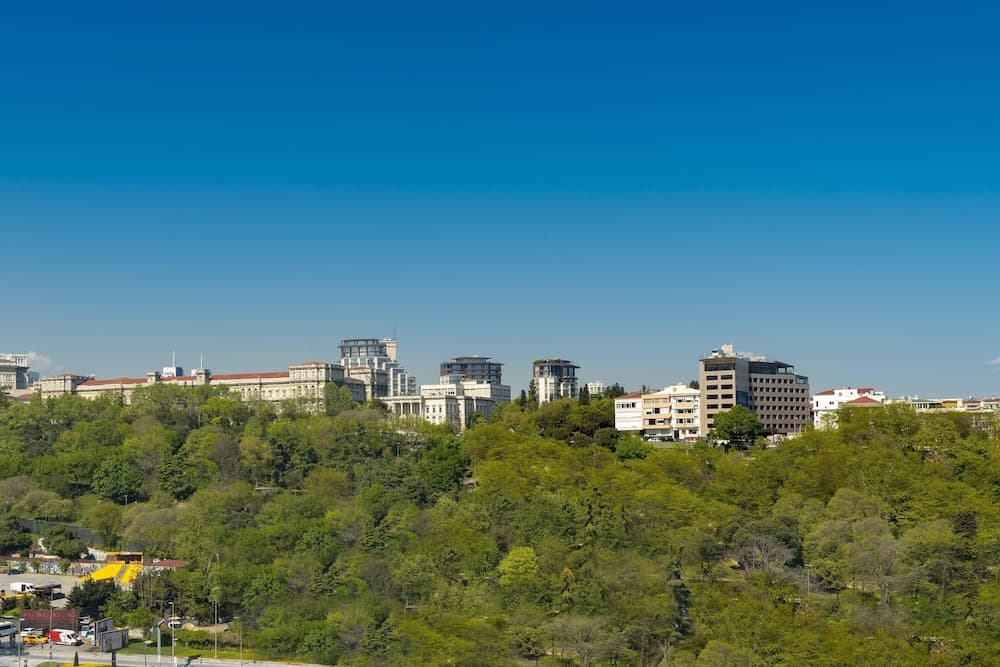 The Ritz-Carlton, Istanbul — 8
