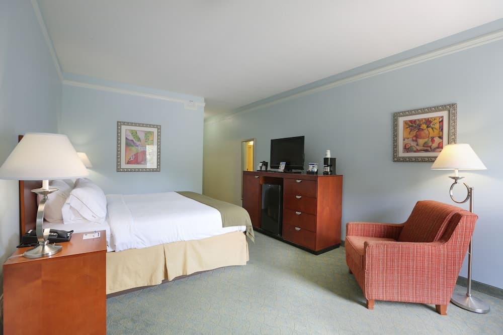 Holiday Inn Express Tampa N I-75 - Área universitaria, un hotel IHG — 4