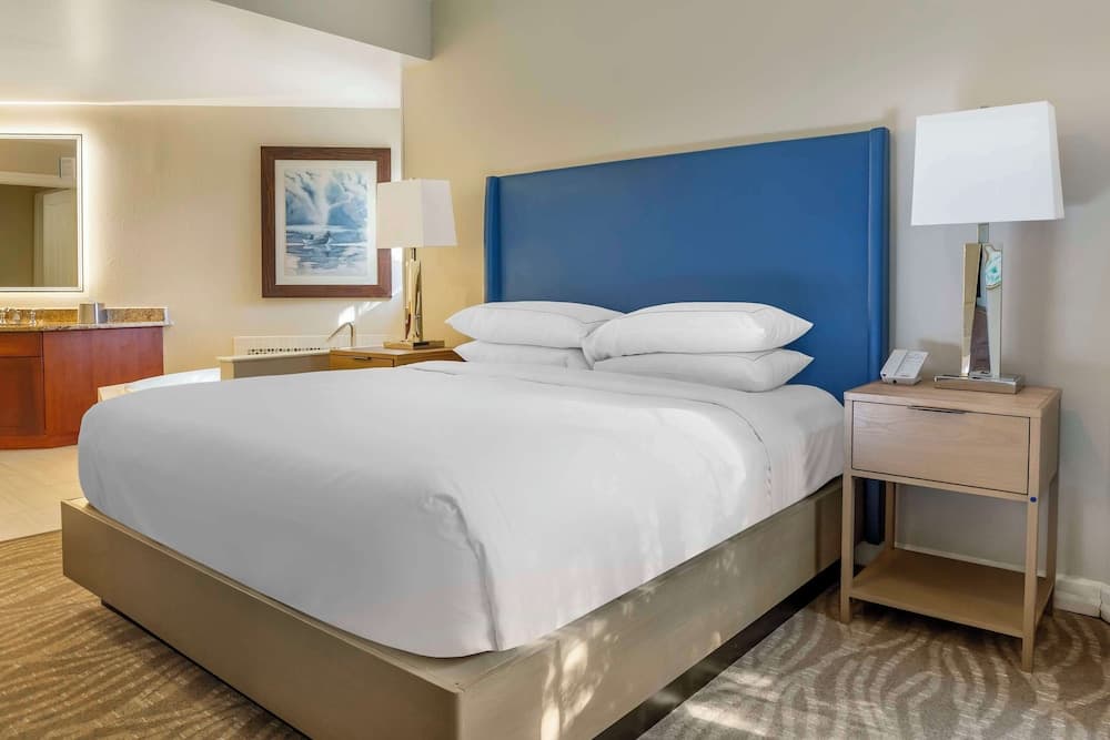 Hilton Grand Vacations Club SeaWorld® Orlando — 8