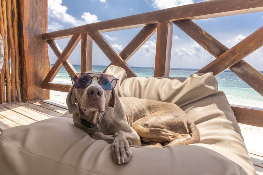 Hotelito Azul — 26