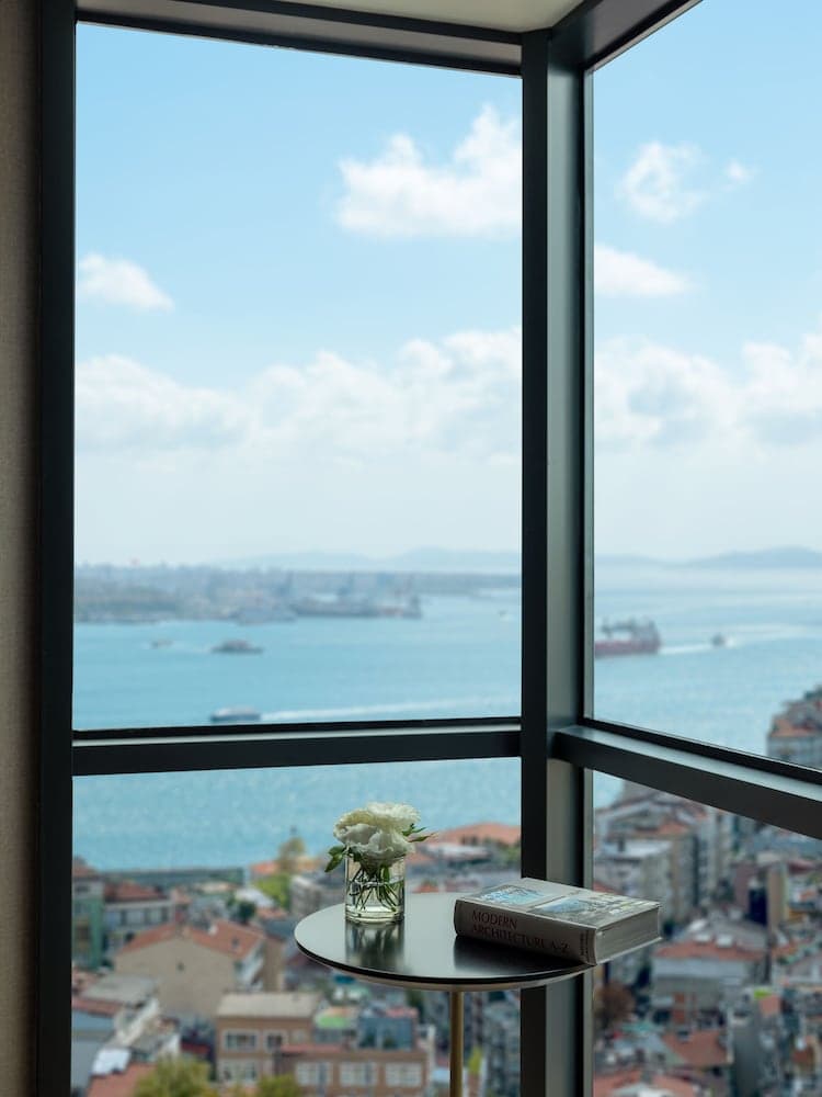 Sofitel Istanbul Taksim — 20